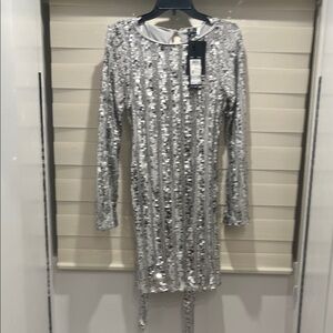 Shimmering Silver Long Sleeve Dress